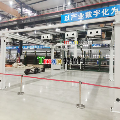 Frame Palletizing Truss Robot